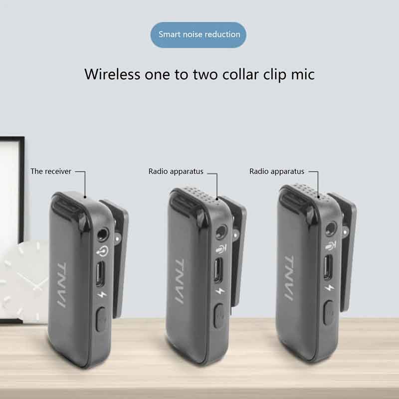 dual wireless microphone system